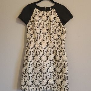 Kensie Gold and Black Dress